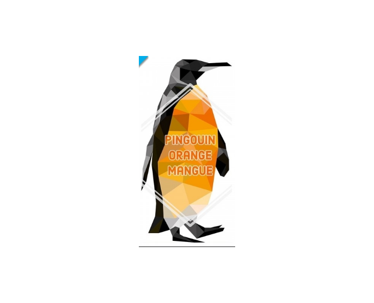 E-Liquide Bankeeze Pingouin Orange Lovap E-Liquide Bankeeze Pingouin Orange Lovap