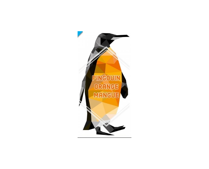 E-Liquide Bankeeze Pingouin Orange Lovap | Création Vap
