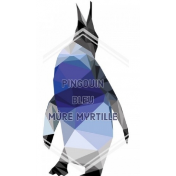 E-Liquide Bankeeze Pingouin Bleu-moumou le cosmonaute Lovap | Création Vap