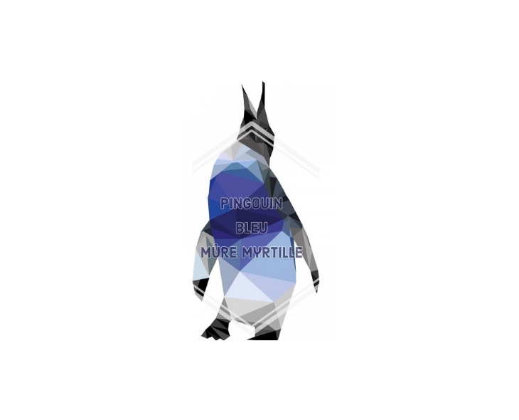 E-Liquide Bankeeze Pingouin Bleu Lovap E-Liquide Bankeeze Pingouin Bleu Lovap