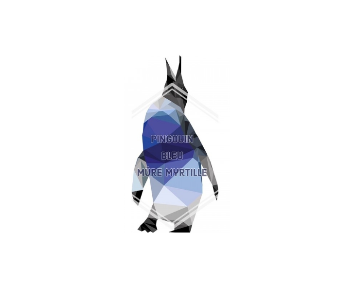 E-Liquide Bankeeze Pingouin Bleu Lovap | Création Vap