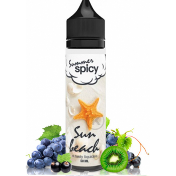 E-Liquide Sun Beach Summer Spicy E-Tasty 50 ML | Création Vap