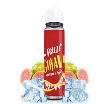 E-Liquide Goyave Freeze Liquideo 50 Ml | Création Vap