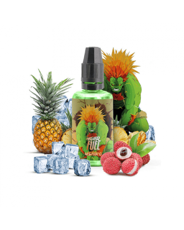 Arôme Concentré Ushiro Fighter Fuel Maison Fuel 30Ml | Création Vap