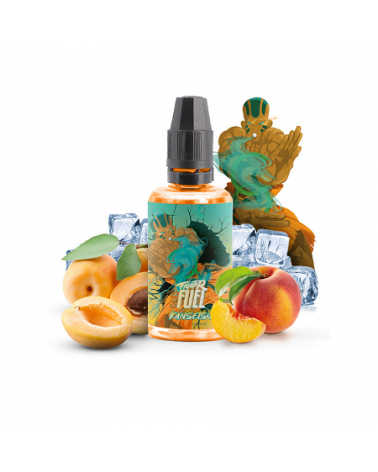 Concentré Kansetsu Fighter Fuel Maison Fuel | Création Vap