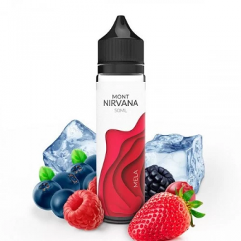 E-Liquide Mela Mont Nirvana E.Tasty | Création Vap