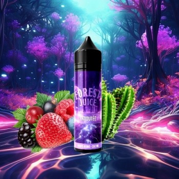 E-Liquide Envoutée Prêt A vaper Forest Juice Création-Vap | Création Vap