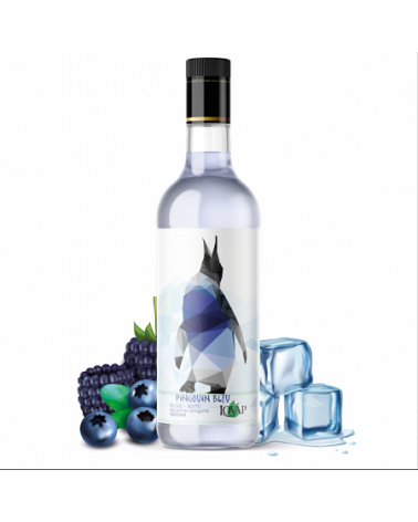 E-Liquide Bankeeze Pingouin Bleu-moumou le cosmonaute Lovap | Création Vap