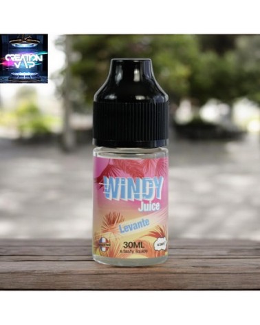 Arôme Concentré Levante Windy Juice E.Tasty 30Ml | Création Vap
