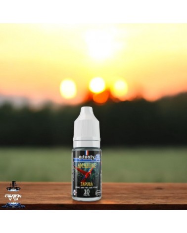 E-Liquide Japura Amazone Sels De Nicotine E.Tasty | Création Vap