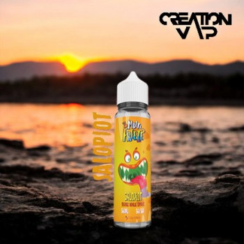 E-Liquide Salopiot Multi Freeze Liquideo 50 Ml | Création Vap