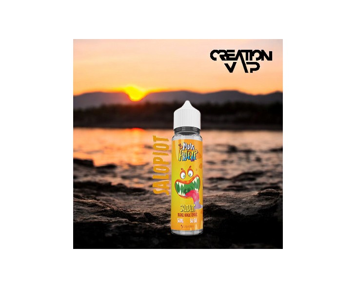 E-Liquide Salopiot Multi Freeze Liquideo 50 Ml | Création Vap