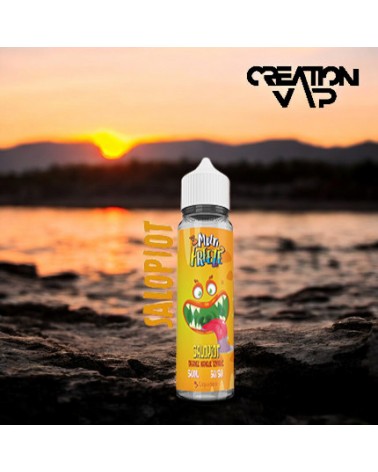 E-Liquide Salopiot Multi Freeze Liquideo 50 Ml | Création Vap