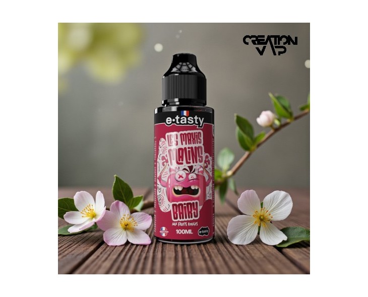 E-Liquide Bairy Les Maxis Malins E.Tasty 100Ml | Création Vap