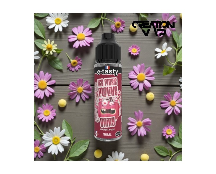E-Liquide Bairy Les Maxis Malins E.Tasty 50Ml | Création Vap