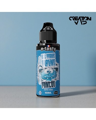 E-Liquide Mintoo Les Maxis Malins E.Tasty 100Ml | Création Vap