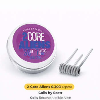 Core Aliens 0.30Ω Ni80 Coils by Scott - Coils Reconstructible Alien | Création Vap