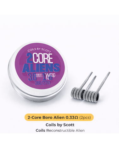 Core Boro Aliens 0.33Ω Ni80 Coils by Scott - Coils Reconstructible Alien | Création Vap