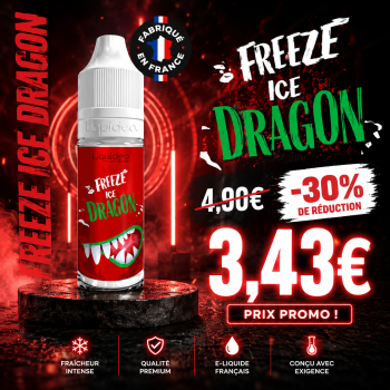 dragon freeze promo