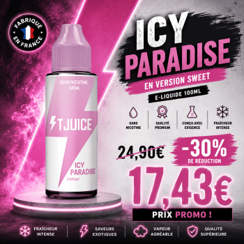 icy paradise promo
