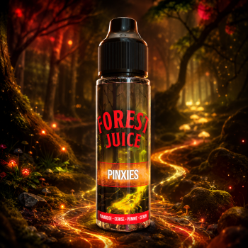 E-liquide Pinxies Forest Juice 50ml Création Vap