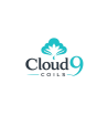 Cloud 9
